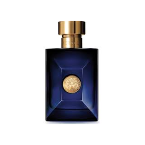 Versace pour homme Dylan blue 100 ml for men